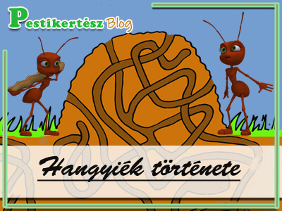 Hangyiék története 5. –  Hangyakirálynők rajzása